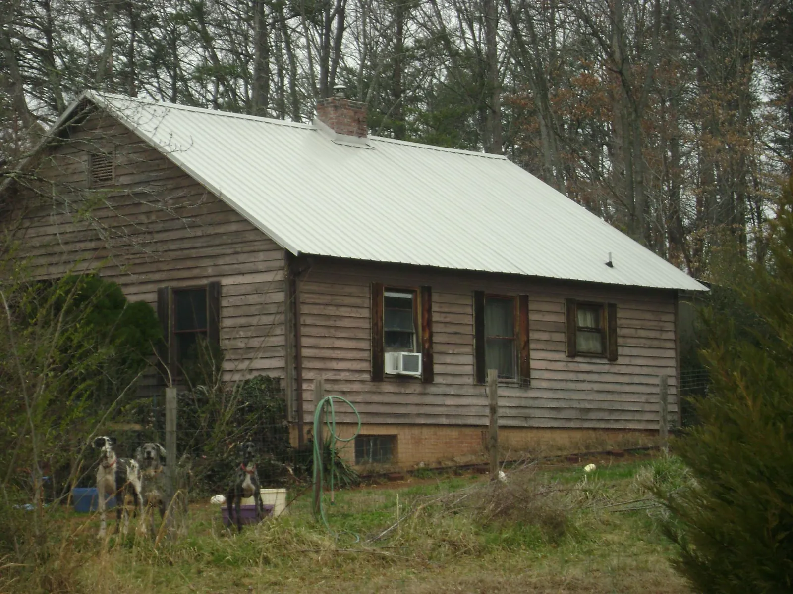 White metal roof on an old wood sided farmhouse, from a Asphalt Shingle Roof Repair job in Laurel Bloomery